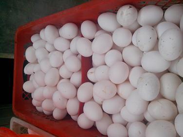 KU酷游官网-相信品牌力量